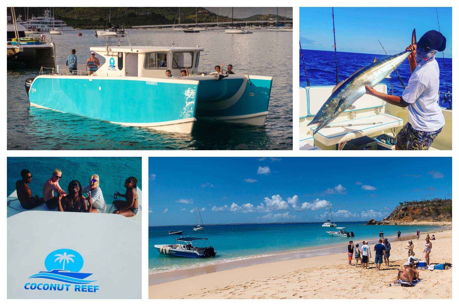 Coconut Reef Fishing Charter - St. Martin Fishing Trip - Reef fishing - Deep Sea Fishing - Airport Transfer Anguilla - St. Barths