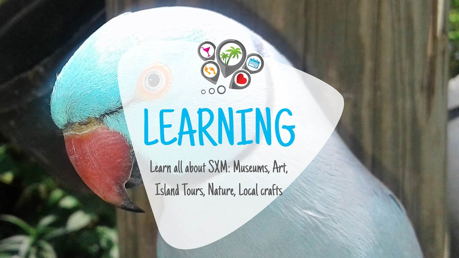 "Découvrez et apprenez en Sint Maarten et Saint Martin – Des activités d'apprentissage engageantes pour tous » Activités d'apprentissage - Visite de l'île, musées, art, artisanat local, nature - Sint Maarten - Saint Martin S