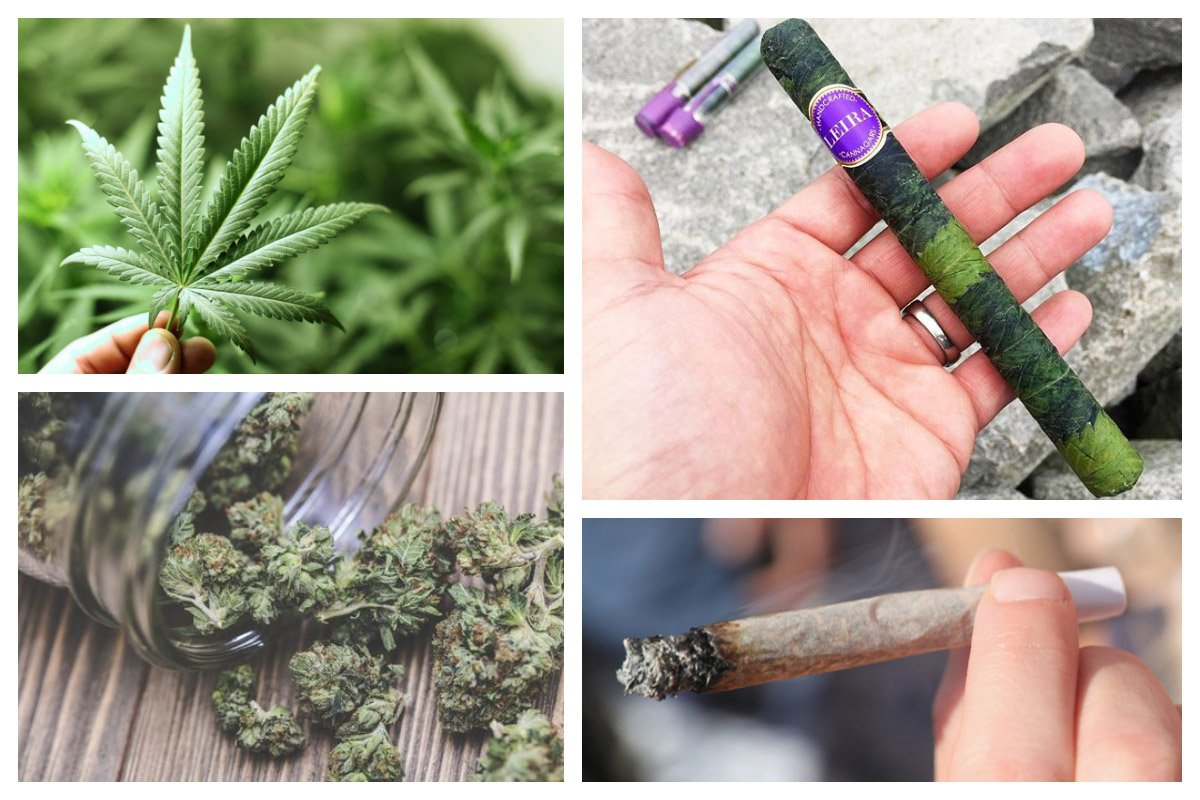 Legalizing Marijuana on Sint Maarten (Dutch side) – As of April 1st 2021 Legalizing Marijuana on Sint Maarten (Dutch side) - As of April 1st 2021