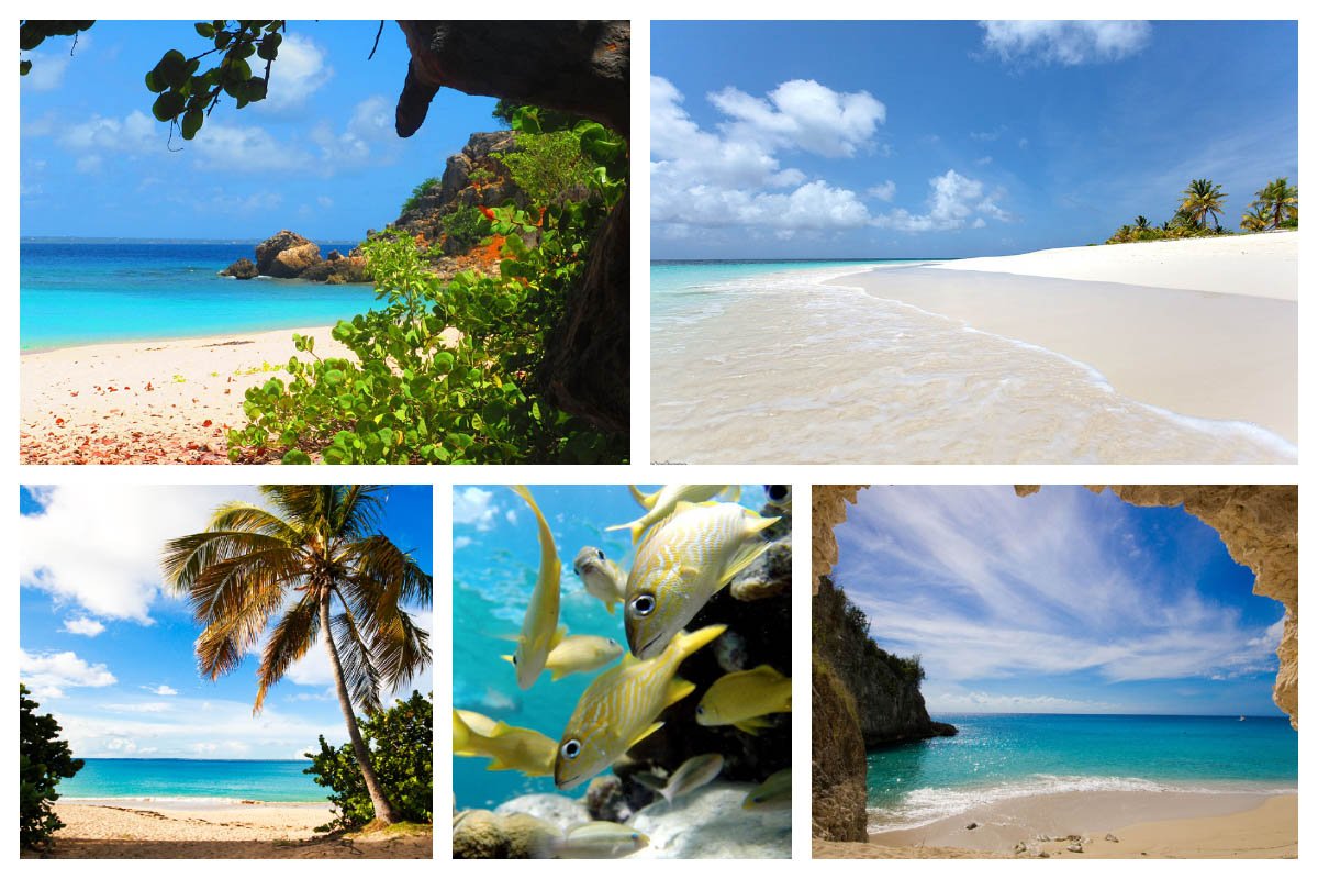 “Descubre las gemas ocultas y las playas vírgenes con 7 Marines Experience – SXM, Anguila y St. Barths” 7 Marines Experience: encuentra las gemas más escondidas y las hermosas playas, SXM, Anguila, St. Barths