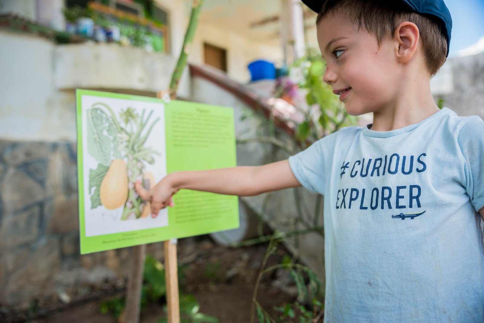 “Discover the Rich History, Heritage, Flora, and Fauna of Sint Maarten, Saint Martin at Amuseum Naturalis” Amuseum Naturalis - History, Heritage, Flora and Fauna of Sint Maarten, Saint Martin