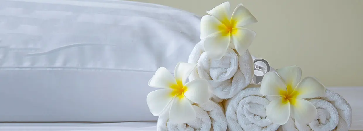 "Cozy Lodging Options in St. Maarten - Tropical Accommodation Choices"