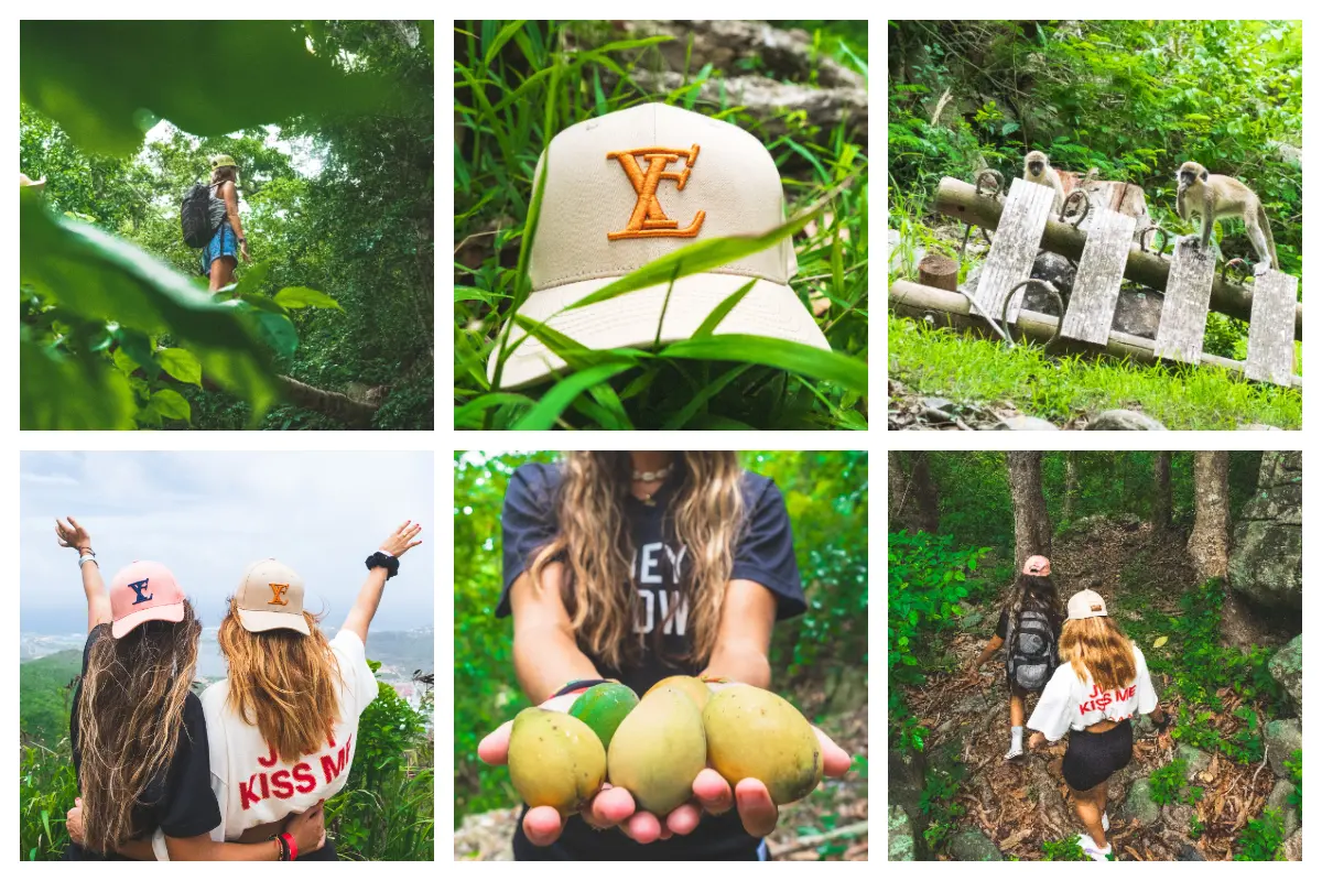 Loterie Farm Hike 2024 - $10 Entrance for an amazing hike to the top