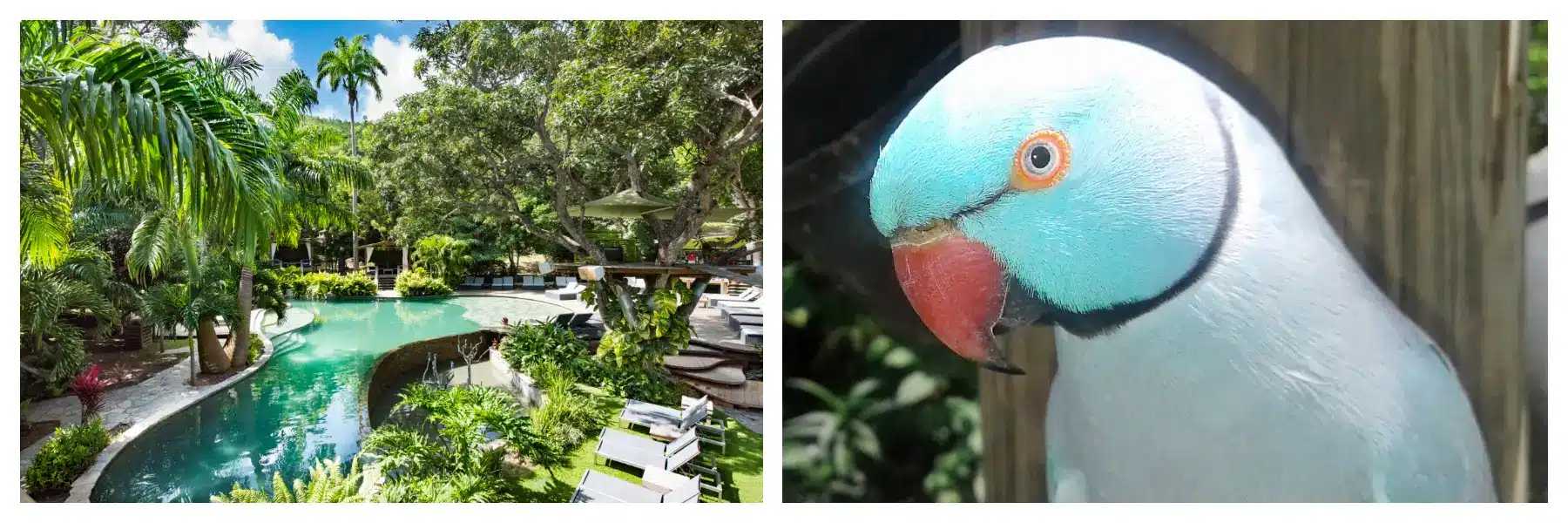 Nature, Greenery, Wildlife and Birdpark Nature, Greenery, Wildlife and Birdpark.