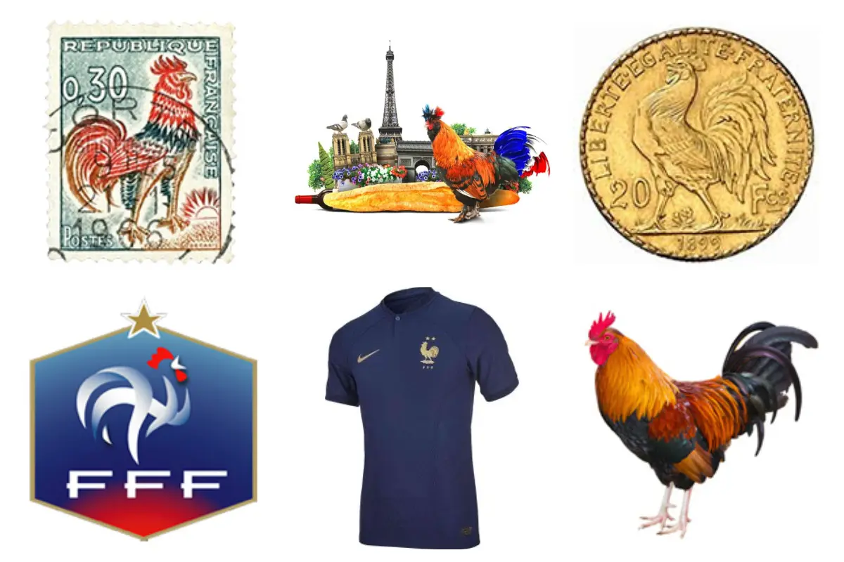 French National Symbol – The Gallic Rooster standing as a sign of Hope and Faith Gallic Rooster - French Symbol for Hope & Strenght - Roundabout in Marigot - Artist Frederic Le Vert creating a rooster out of this iconis Mango tree