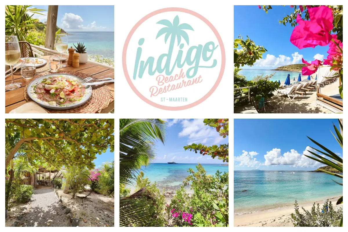 Indigo Beach Ресторан на плажи Индиго Баи - шик атмосфера, зеленило, ручак, лежаљке ИБ