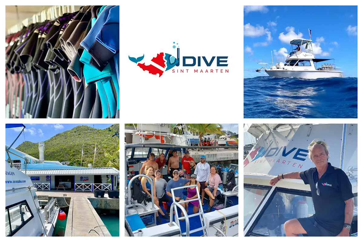 Dive Sint Maarten – Diving from Philipsburg in SXM – Close to Cruise port Dive Sint Maarten - Diving from Philipsburg in SXM - Close to Cruise port