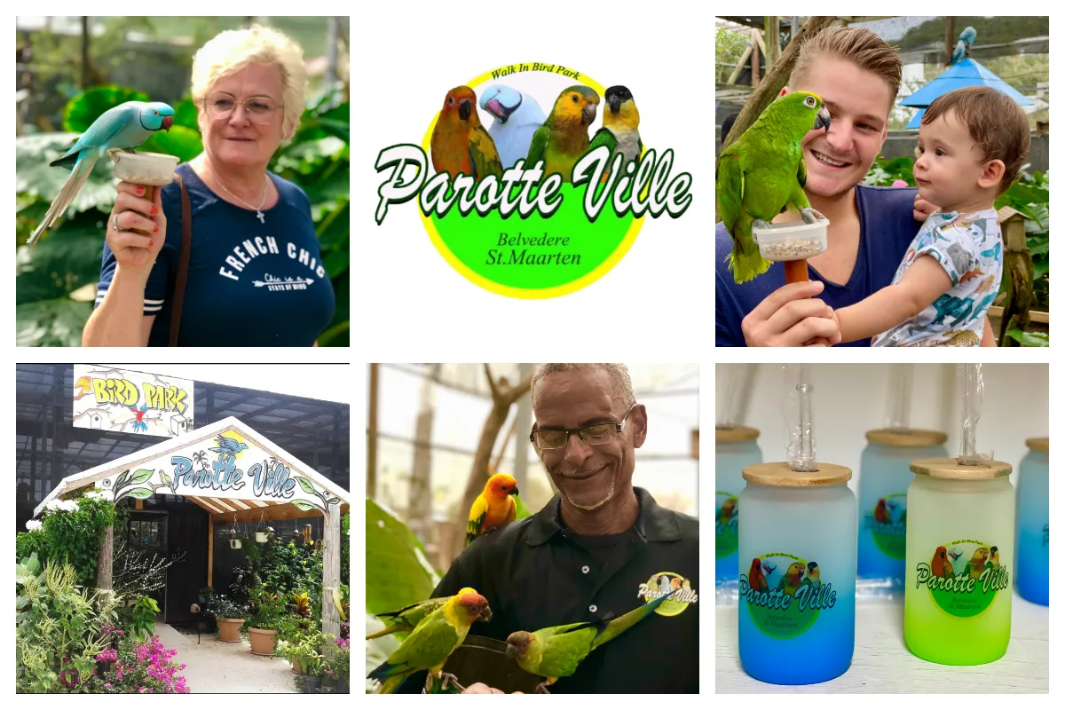 Parotte Ville – Birdpark in St Maarten, George will show you all the birds Parotte Ville - Birdpark in St Maarten, George will show you all the birds