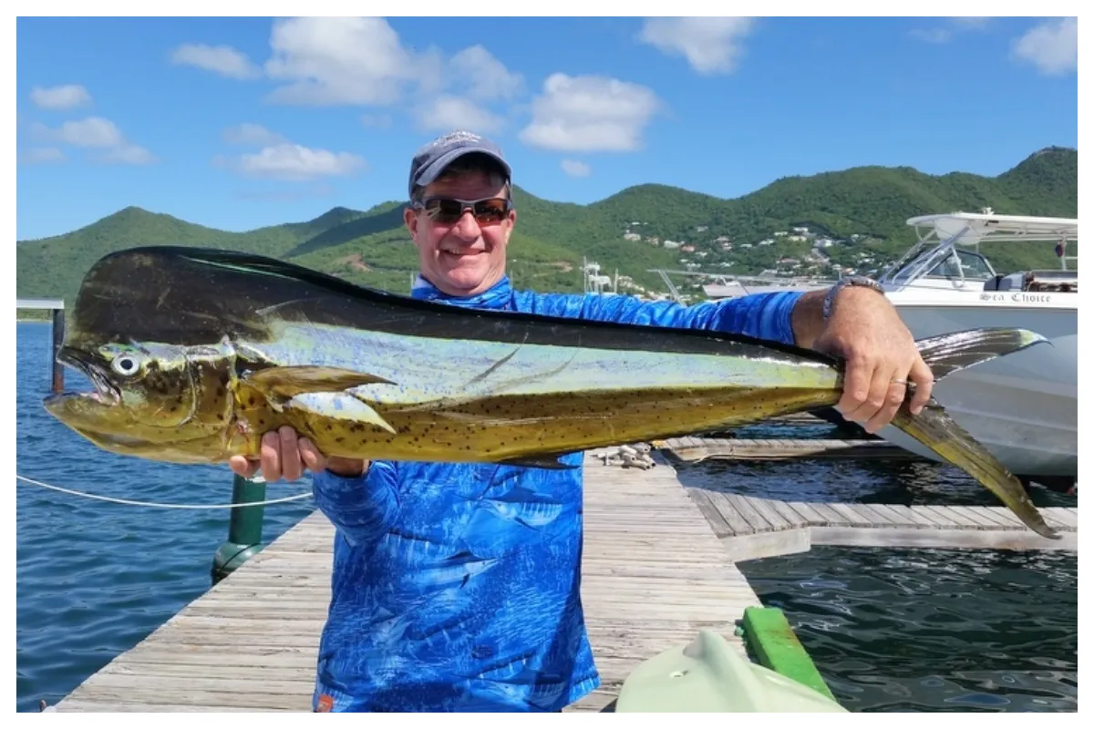Fishing Charters, Deep Sea Fishing for Mahi Mahi, Marlin, Tuna, Sailfish in St Maarten - St Martin