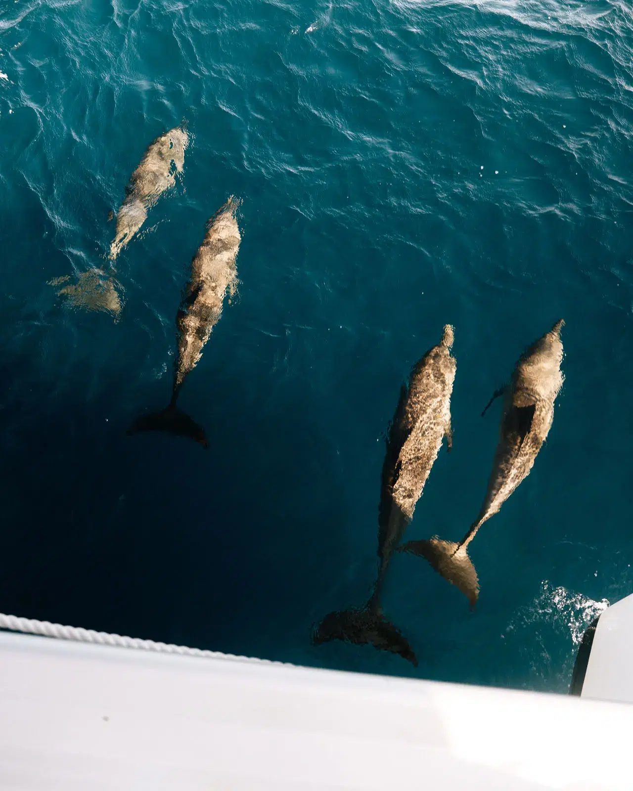 Guests lounging on deck under shade aboard catamaran “Freedom” in St. Maarten