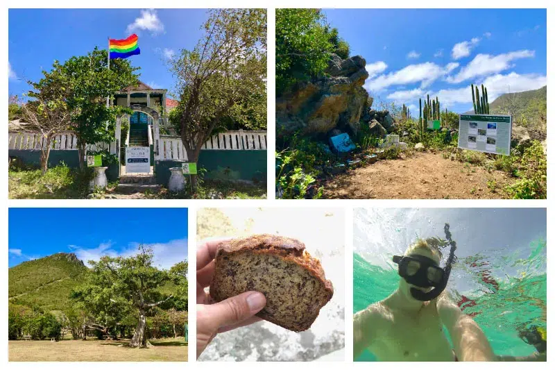 Nature Tour – Hike & Snorkeling, Iguana, Fish, Tree’s, View Point, Animals – SXM, St. Maarten, St. Martin S Nature Tour - Hike & Snorkeling, Iguana, Fish, Tree's, View Point, Animals - SXM, St. Maarten, St. Martin
