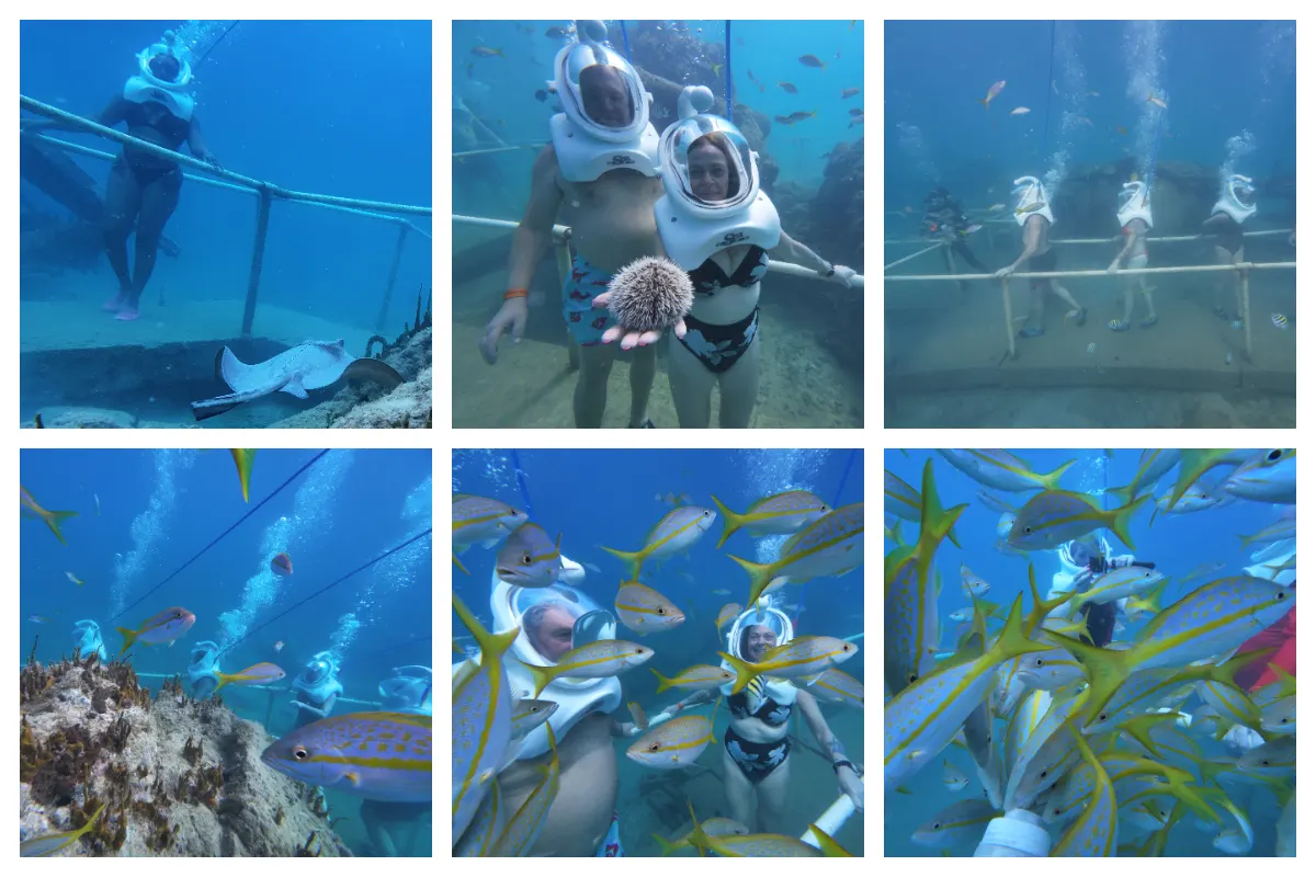 Sea Trek Helmet diving and snorkeling tours from Bobby’s Marina.