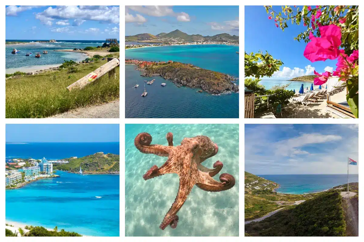 Best places to eat in Philipsburg, Oyster Bay & Indigo Best Restaurants & places to eat in the Capital Area - Philipsburg, Indigo, St. Peters, Dutch Cul de Sac.