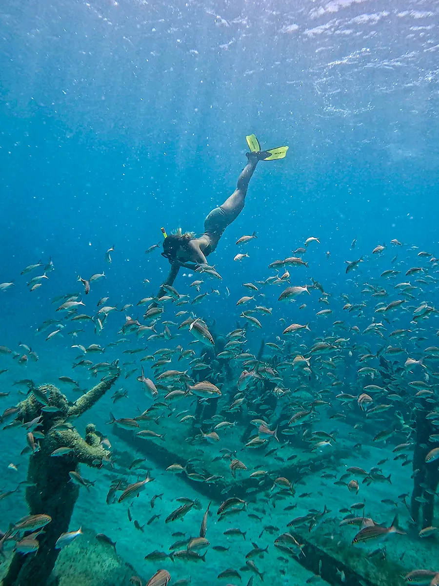 sous-sxm photo 1